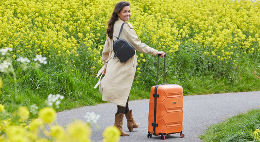 Welke koffer mag mee als handbagage in het vliegtuig?